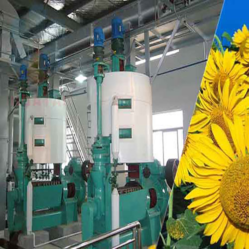 Huatai Machinery et des clients du Turkménistan ont signé un contrat portant sur un équipement de pressage d'huile de tournesol d'une capacité de 50 tonnes par jour